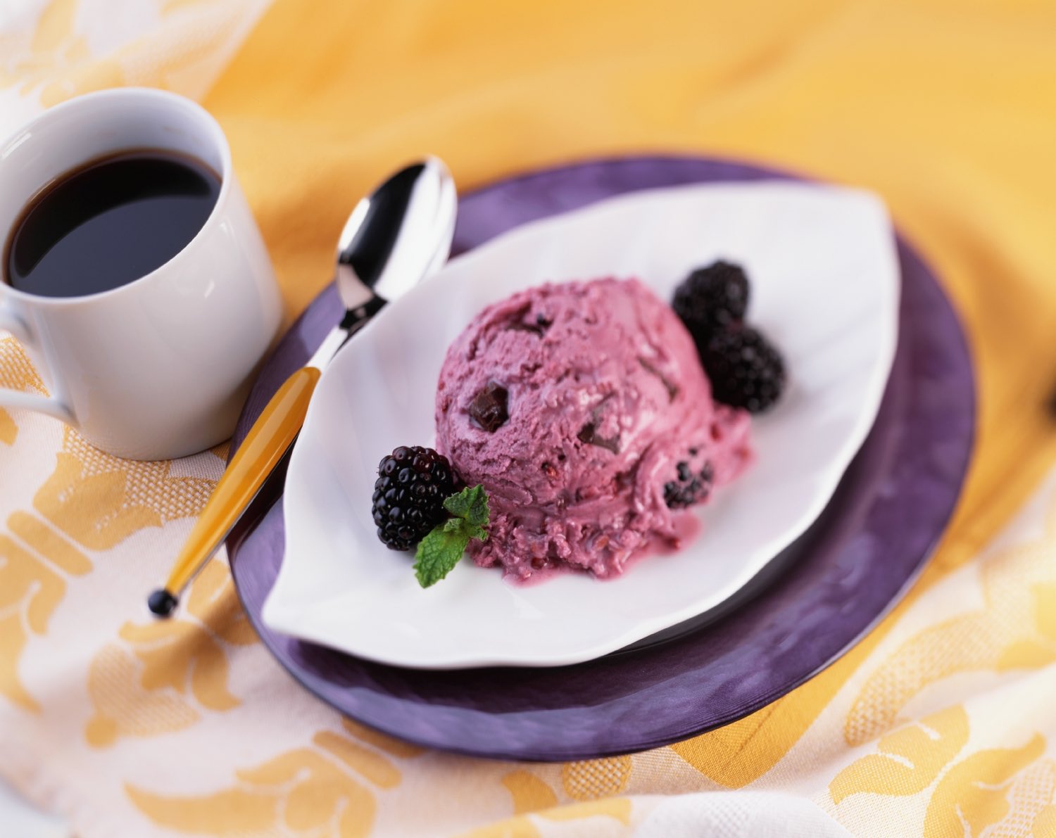 Plate with a scoop of blackberry chocolate frozen yogurt 