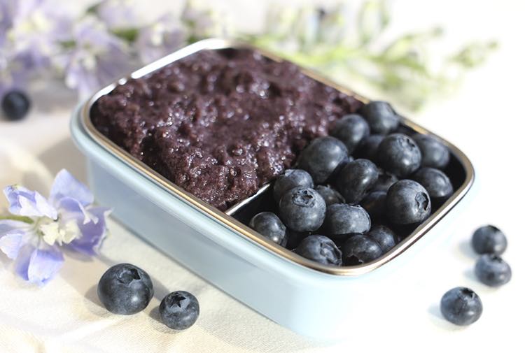 Healthy Blueberry Chia Seed Pudding Recipe