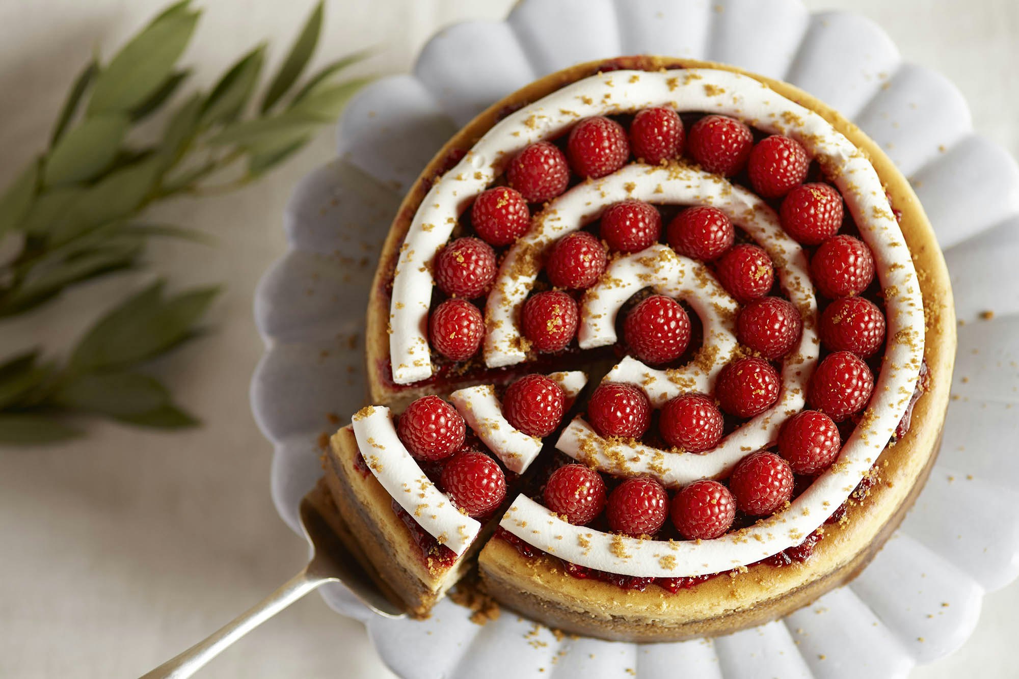 Raspberry cranberry spiced cheesecake with circles of raspberries on top