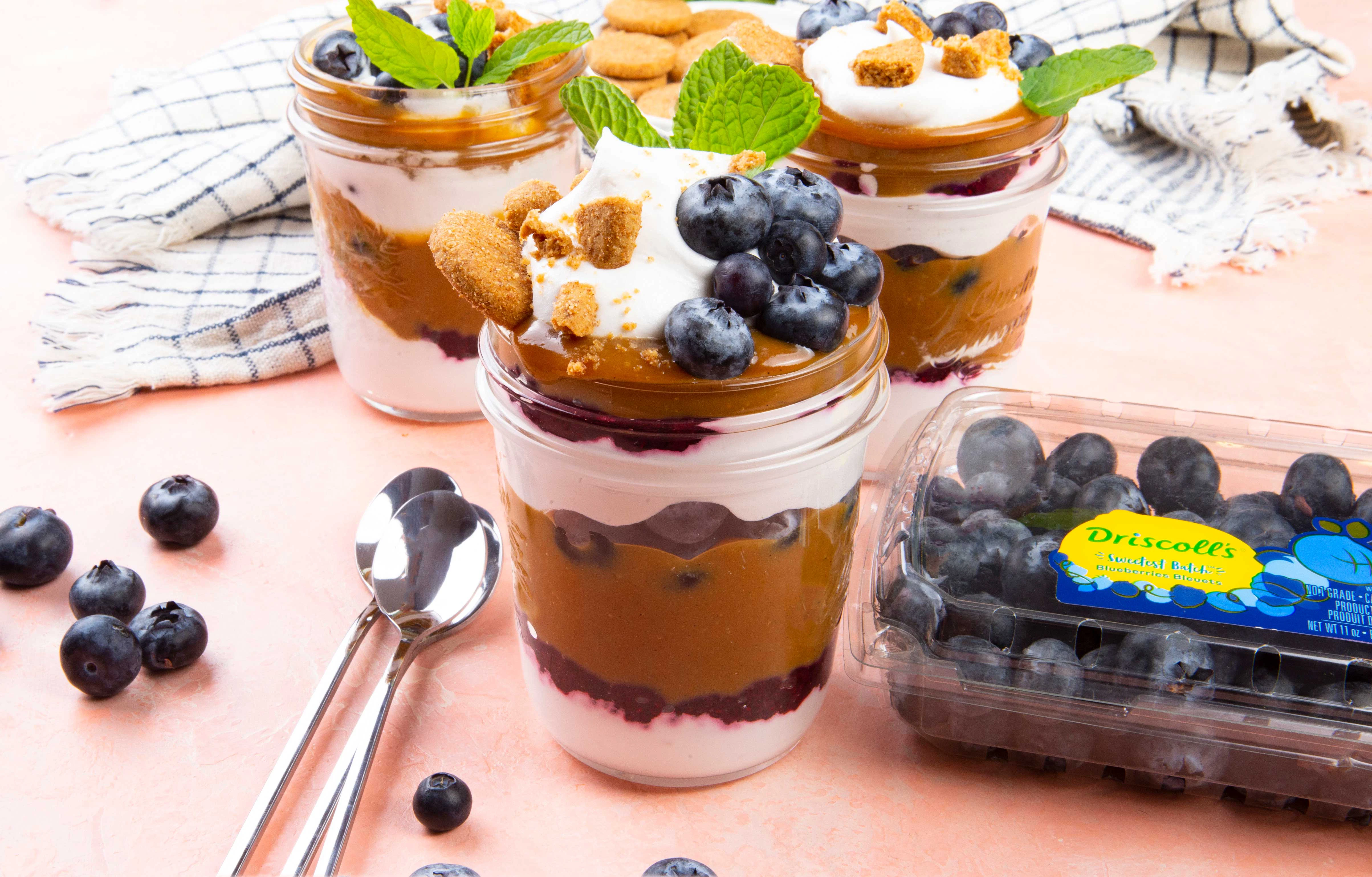 Blueberry Pudding Parfaits with Oat Milk