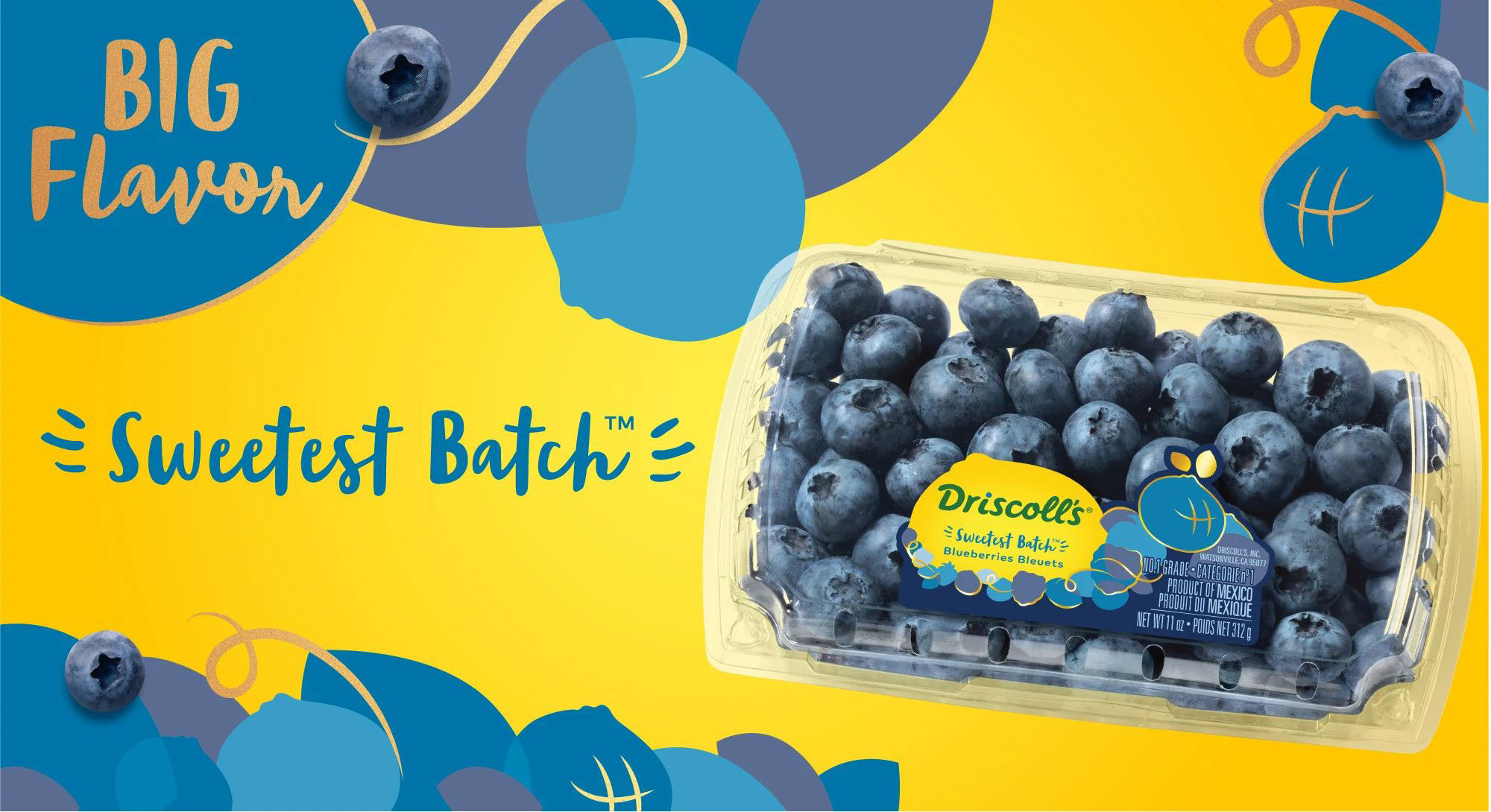 Only the best, sweetest and hardest jumbo blueberries