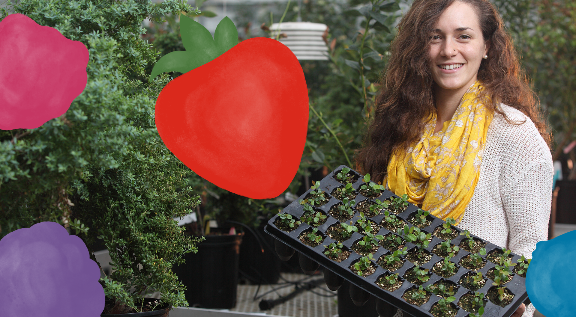 berry innovators hero