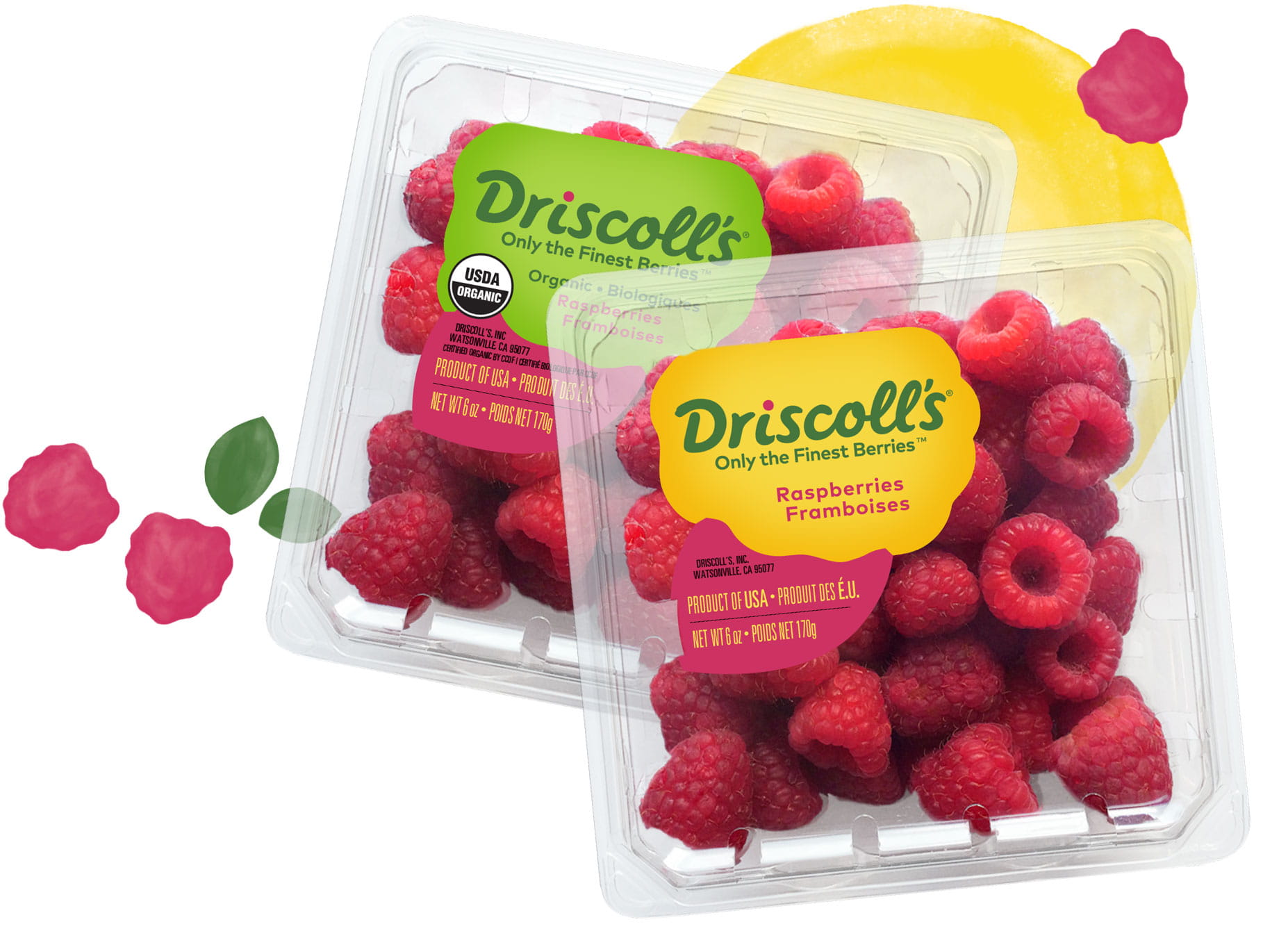 Best Ways to Store Raspberries - Driscoll's