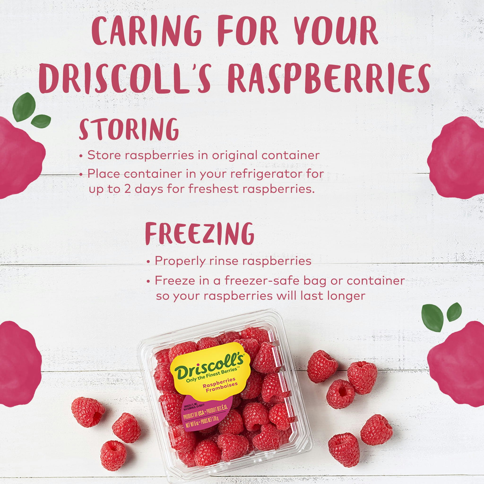 How To Freeze Fresh Raspberries Driscoll S