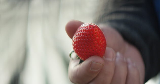 手握草莓