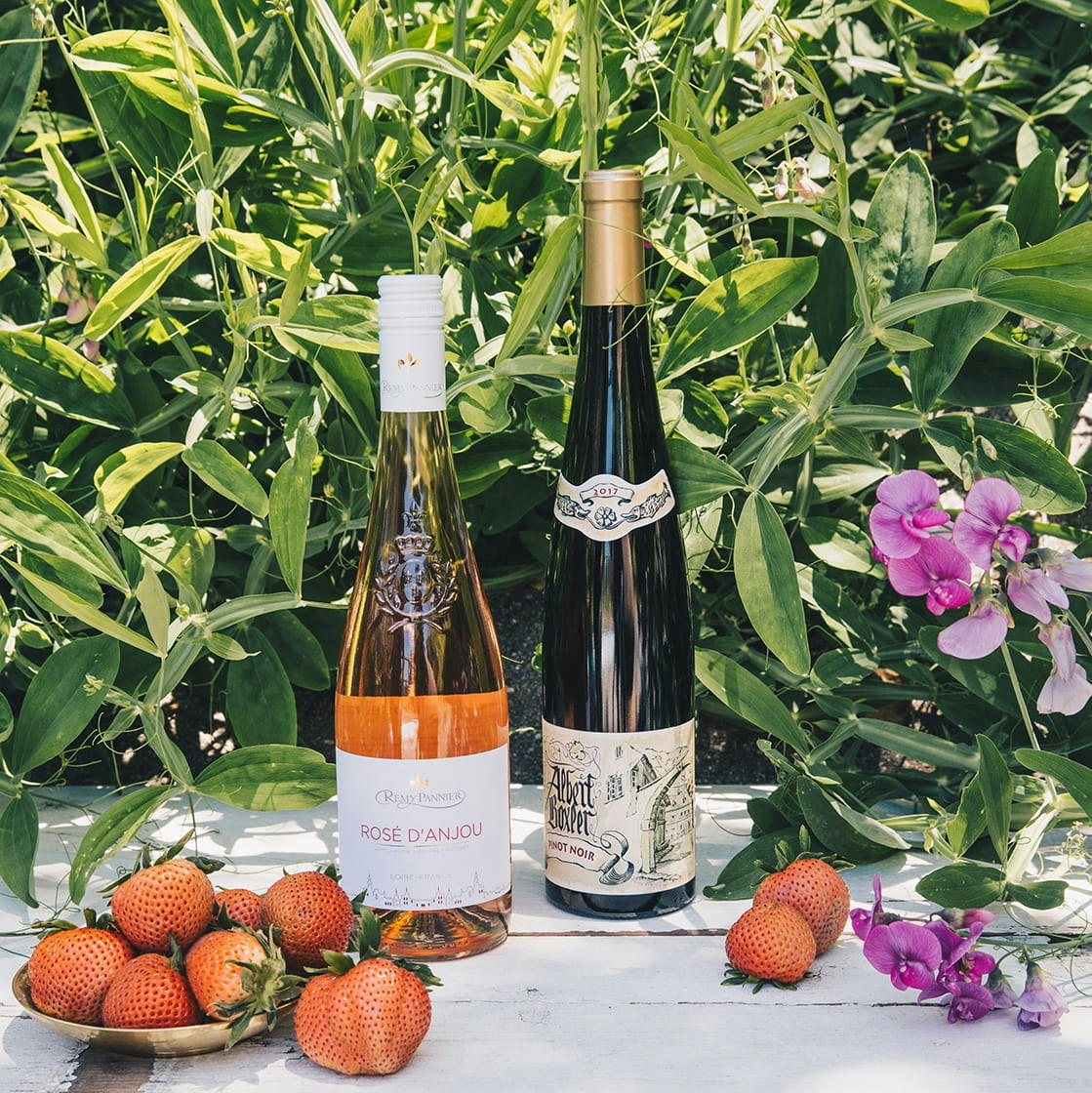 Driscoll's rose berries and wine pairings