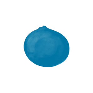Blueberry